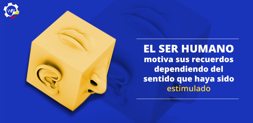 El Ser Humano Motiva sus Recuerdos Dependiendo del Sentido Que Haya Sido Estimulado