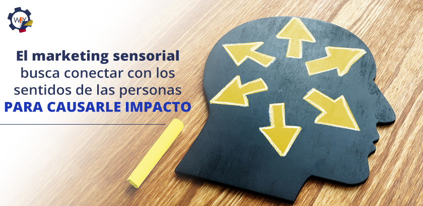 El Marketing Sensorial Busca Conectar con los Sentidos de las Personas Para Causarles Impacto