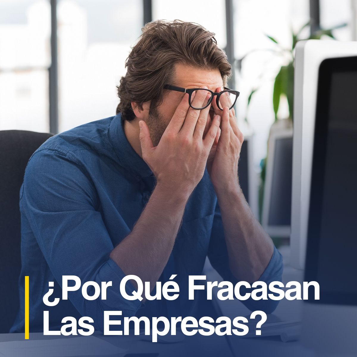 ¿Por Qué Fracasan las Empresas?