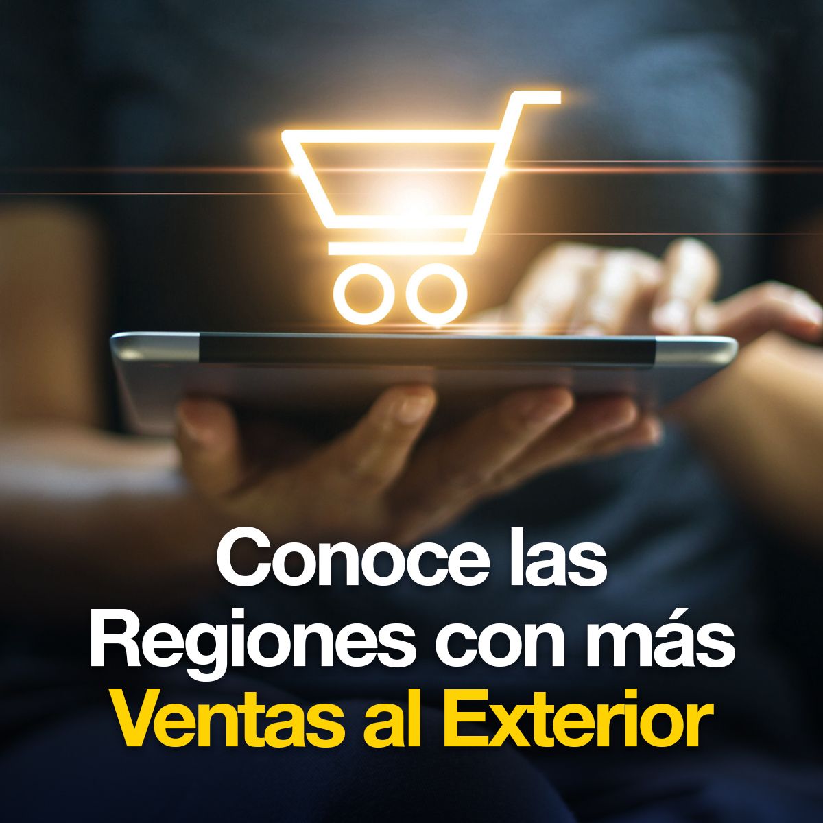 Conoce las Regiones con más Ventas al Exterior