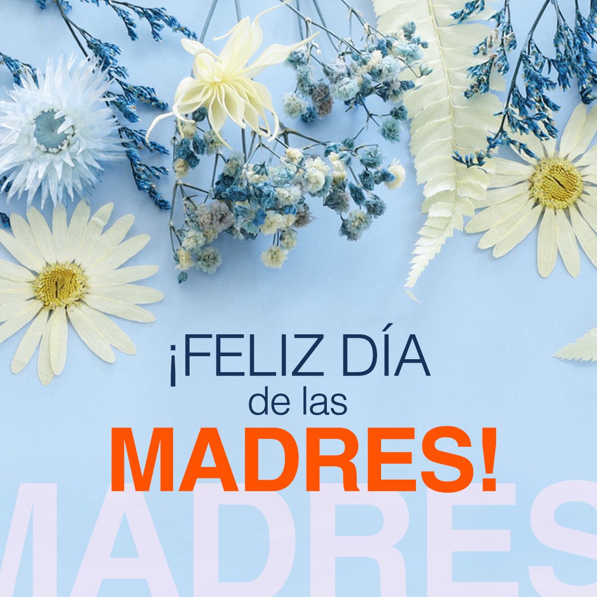 ¡Feliz Día de las Madres!