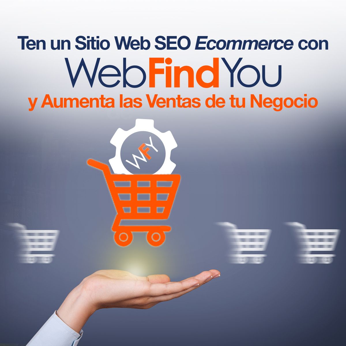 Ten un Sitio Web SEO Ecommerce con WebFindYou y Aumenta las de tu Negocio